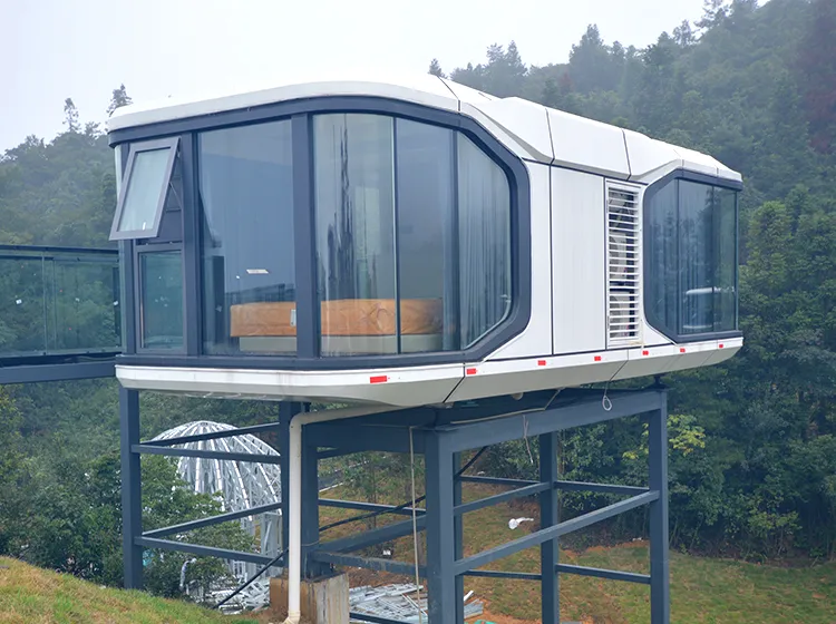 Capsule-House (4)