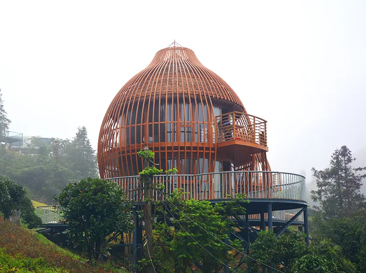 Double Cage (6)