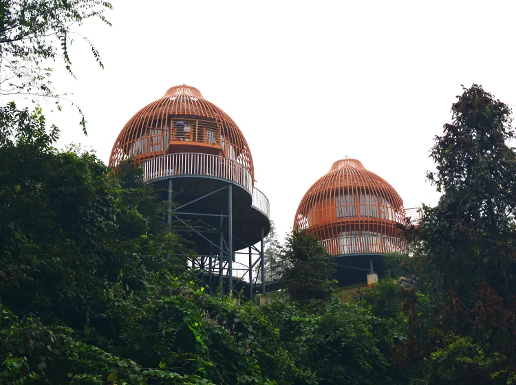 Double Cage (7)