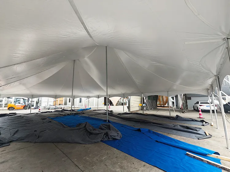 Pole Tent (5)