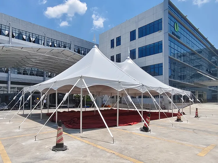 Pole Tent (6)