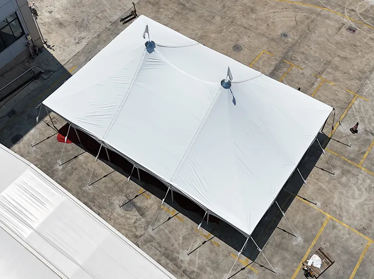 Pole Tent (8)