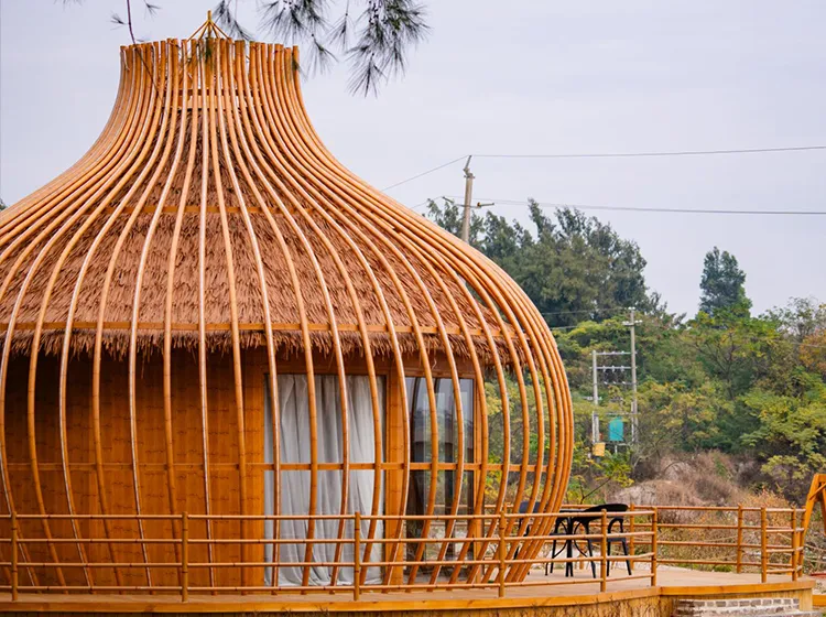 Single Cage (2)