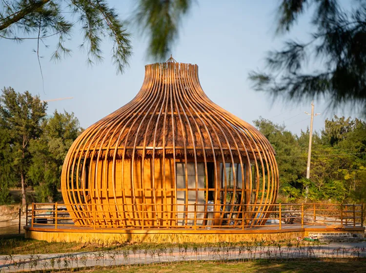 Single Cage (3)