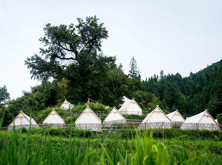 Triangle Tent (3)