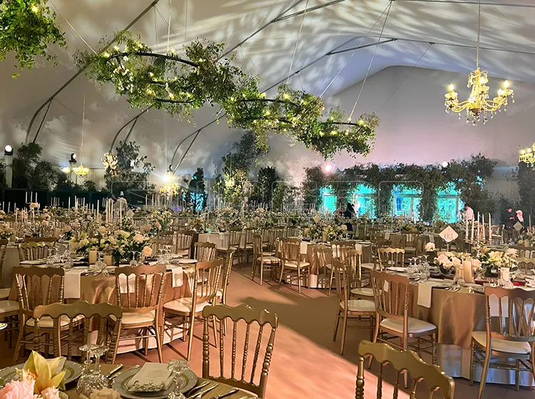 Curve Tent wedding (2)